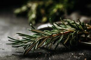 Fresh rosemary on a black background photo