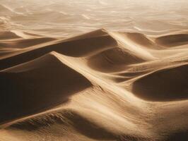 A large desert area with sand dunes and water photo