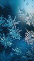 Snowflakes on a window glass photo