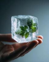 A person holding an ice cube with a leaf on it photo