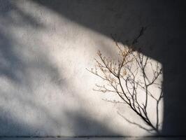 A tree is shown in front of a wall photo
