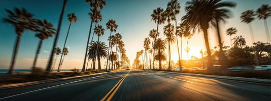 An empty road with palm trees in the background photo