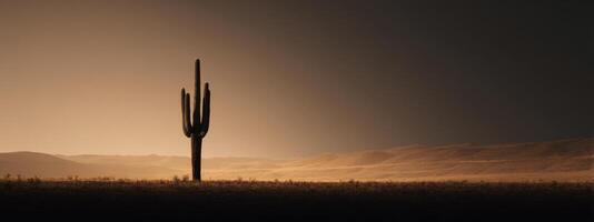 A cactus stands alone in the desert at sunset photo