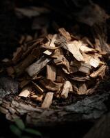 Pile of wood chips in the woods photo