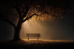 A bench under a tree in the dark photo