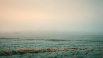 Foggy field with grass and trees in the distance photo