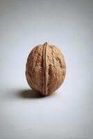 A walnut is shown on a white background photo