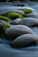 A river with rocks and moss on it photo