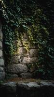 A stone wall with ivy growing on it photo
