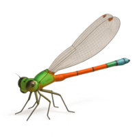3D Model of Agriocnemis Dragonfly in Simple and Colorful Design png