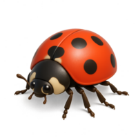 3D Simple Ladybug Model for Creative Projects and Designs png