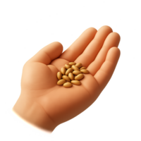 3D Illustration of Seeds in a Hand for Simple Composition png