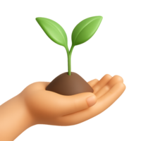 Hand Holding Green Seedling in Palm on Isolated Background png
