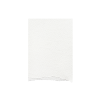 Torn paper edges. Ripped paper texture. Paper tag. White paper sheet background with clipping path. Close up. png