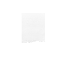 Torn paper edges. Ripped paper texture. Paper tag. White paper sheet for background with clipping path. Close up png