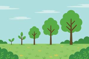 Stages of Tree Growth vector