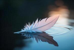 A white feather floating on water, the feather is reflected in the water, with a dark background and bokeh effect photo