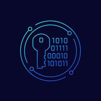 encryption icon, key and binary code, linear design vector