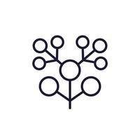 phylogenetic tree line icon on white vector