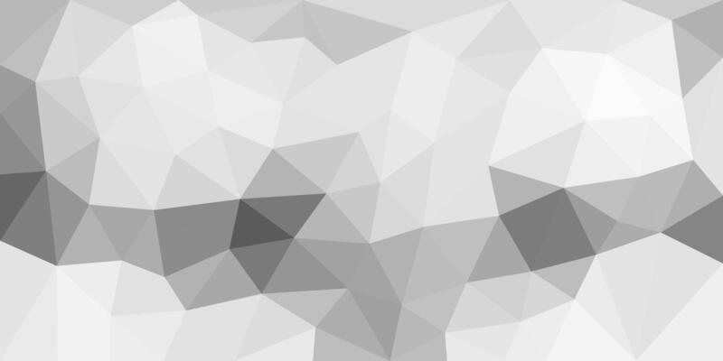 A grayscale low-poly geometric background featuring various shades of gray in faceted triangular shapes, creating a modern and minimalistic abstract design.