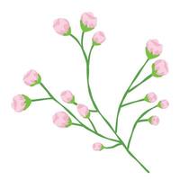 Branch of a tree with a little pink buds flower, isolated on white background illustration vector