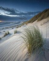 Tall grass in sand dunes sways with the wind during twilight near the coast photo