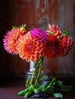 Colorful dahlia bouquet in a glass vase with fresh herbs on a rustic background photo