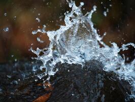 Dynamic water splash captured at river rock during afternoon light in natural setting photo