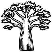 Baobab tree illustration with leafy canopy and textured trunk in black and white vector