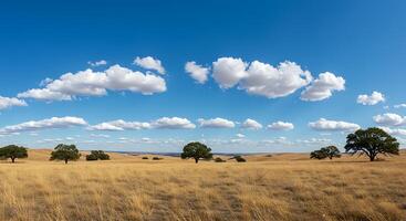 A field with trees and clouds in the sky photo