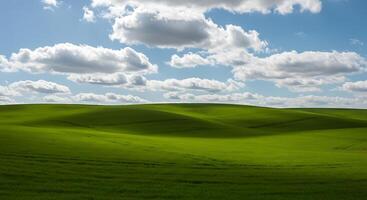 A field with green grass photo