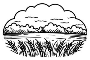 black and white ink landscape of wheat field and cloudy sky with trees vector