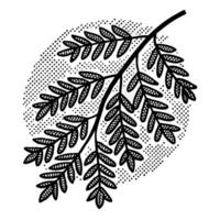 intricate black fern leaf illustration with detailed dot pattern on white background, botanical art design vector