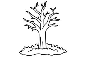 leafless tree outline illustration on white background simple black and white nature drawing vector