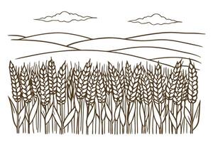 Hand drawn wheat field illustration with rolling hills and clouds in rustic landscape vector