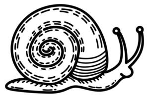 Black and white snail illustration with detailed shell and whiskers vector