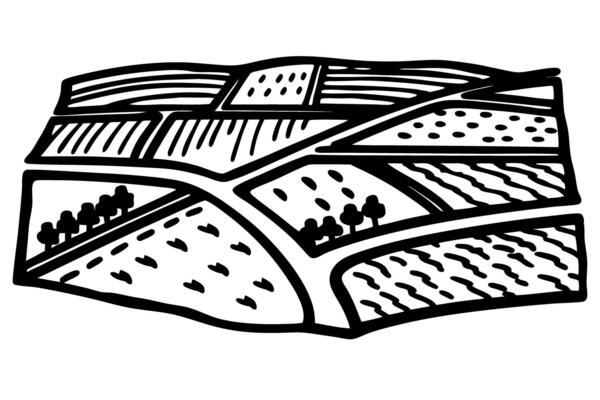 Black and white abstract farmland landscape with trees and fields illustration