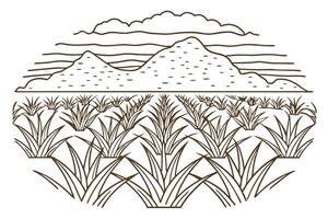 agave field landscape illustration with mountains and sky in background, linear art vector
