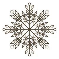 Intricate geometric snowflake design with symmetrical patterns and branch like extensions vector