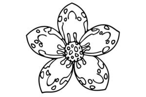 Black and white floral outline with petal patterns for coloring and art design vector