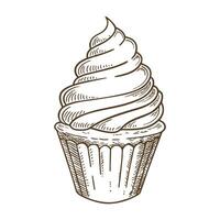 vintage cupcake illustration detailed hand drawn dessert, frosting swirl, bakery art sketch vector
