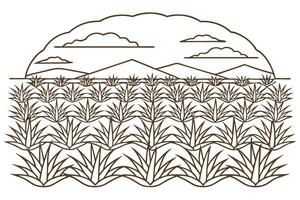 Agave plantation landscape with mountains and clouds line art illustration vector