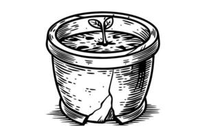 Seedling growth in a cracked pot symbol of resilience and new beginnings in nature vector