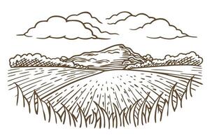 Scenic landscape illustration of a mountain and field with clouds vector