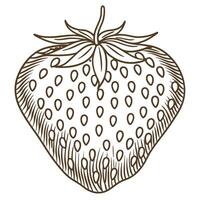 Intricate line art of a single strawberry with detailed seeds and leaves vector