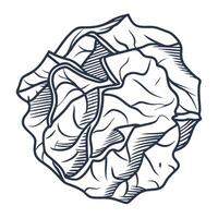 illustration of cabbage detailed black and white sketched vegetable for organic design vector