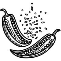 Hand drawn sliced chili peppers with seeds sketch black and white botanical illustration vector