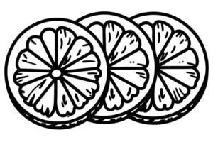 Sliced citrus illustration black and white line art of lemon wedges in a triple arrangement vector