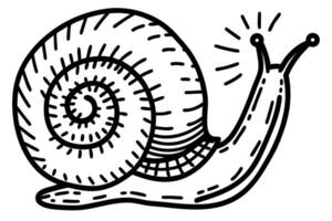 illustration of a snail with detailed shell and body simple black and white design, nature drawing vector