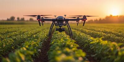 a drone flying low over a field, spraying crops with fertilizer, open landscape photo